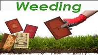 اولین کتابهای وجینی کتابخانه!