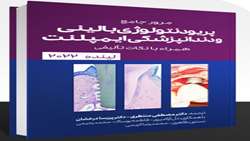 مرور جامع لینده 2022، بزودی منتشر می‌شود