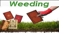 اولین کتابهای وجینی کتابخانه!